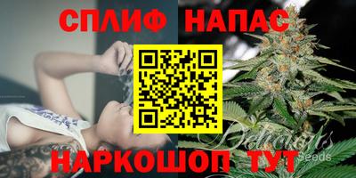 индика Жуковский
