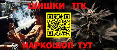 индика Жуковский